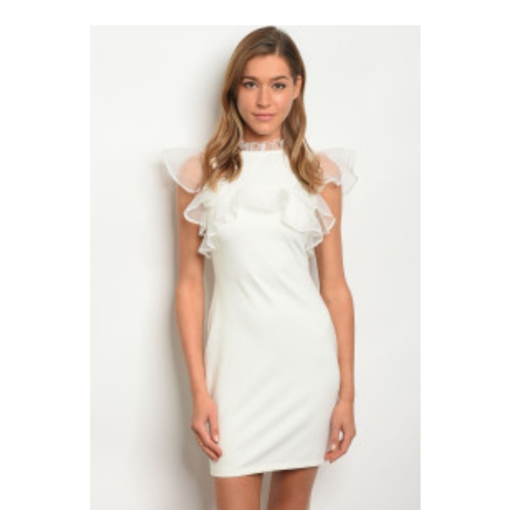 White Ruffle Dress - Picture 7 of 7